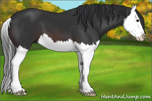 Horse Color:Brown Splash 