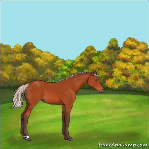 Horse Color:Silver Brown 