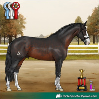 Horse Color:Brown 