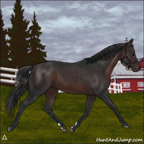 Horse Color:Brown 
