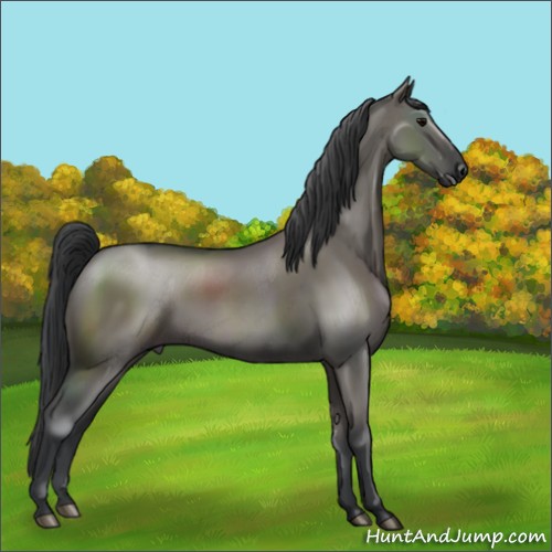 Horse Color:Grullo 