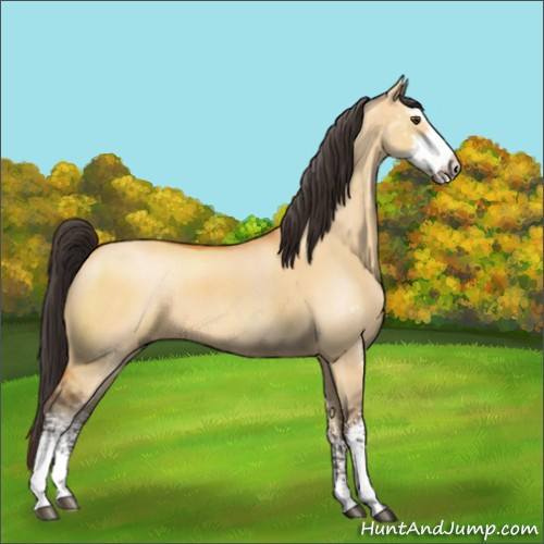 Horse Color:Buckskin Dun Sabino 