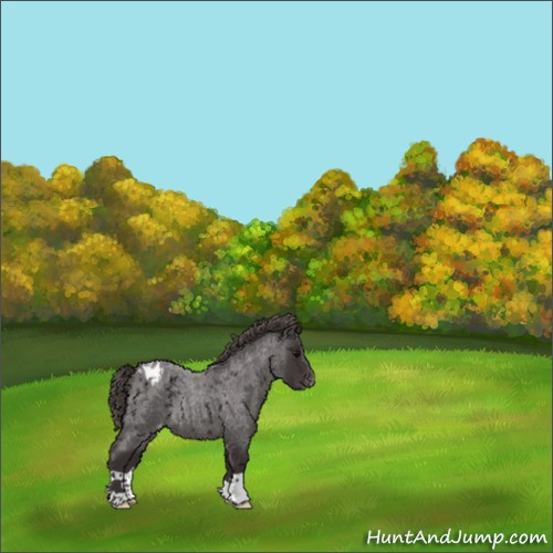 Horse Color:Smoky Blue Roan Blanket