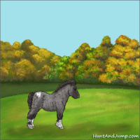 Horse Color:Smoky Blue Roan Blanket 