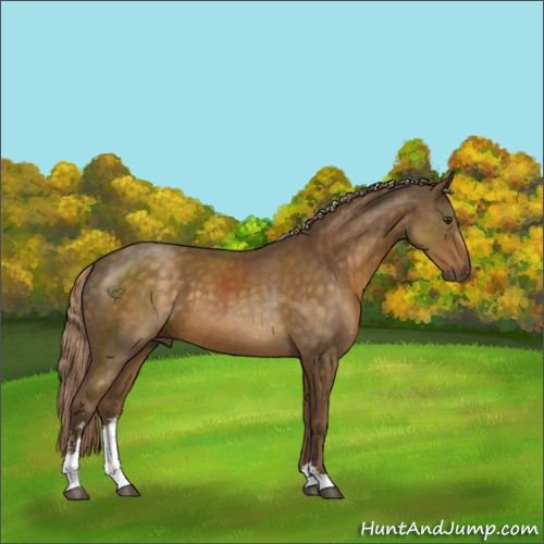 Horse Color:Chocolate Palomino Sabino 