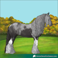 Horse Color:Smoky Black Sabino Tobiano