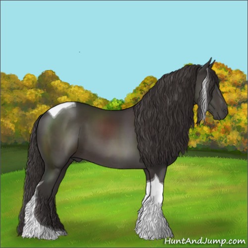 Horse Color:Smoky Black Tobiano 