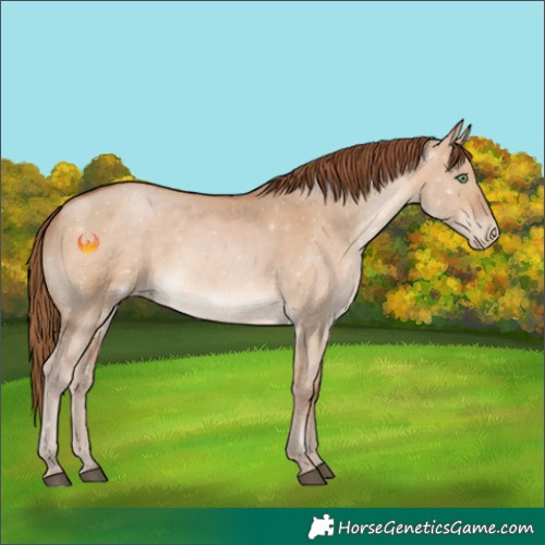 Horse Color:White Spotted Brown Pearl Dun 