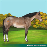 Horse Color:White Spotted Brown Dun Tobiano 