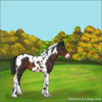Horse Color:Brown Tobiano Frame 
