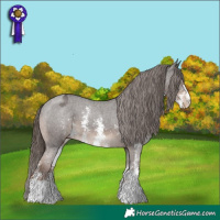 Horse Color:Liver Chestnut Sabino Varnish
