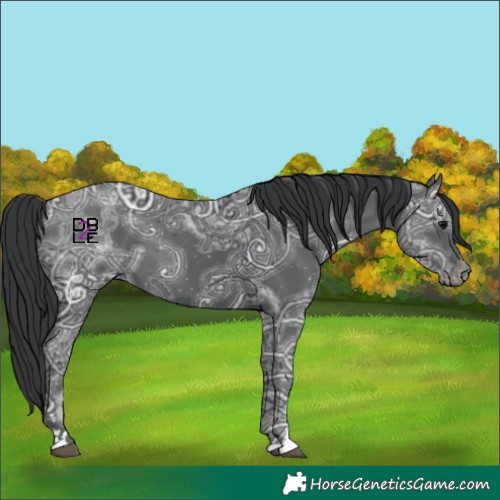 Horse Color:Black Ice