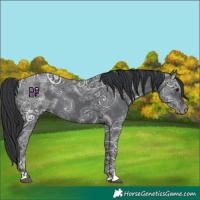 Horse Color:Black Ice 