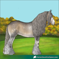 Horse Color:Silver Smoky Blue Onyx 