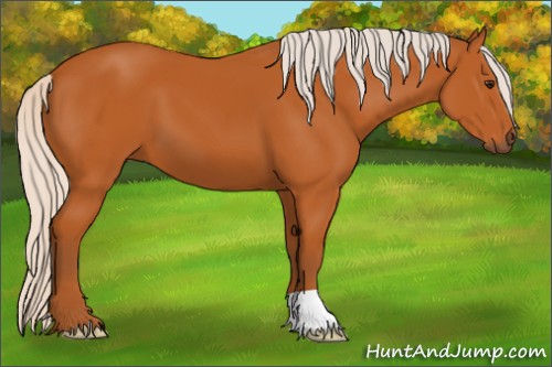 Horse Color:Silver Buckskin 