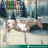 Horse Color:White Spotted Silver Grullo Tobiano Brindle