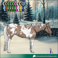 Horse Color:White Spotted Silver Grullo Tobiano Brindle 
