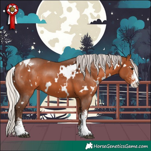 Horse Color:White Spotted Silver Brown Sabino