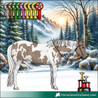 Horse Color:White Spotted Silver Grullo Tobiano