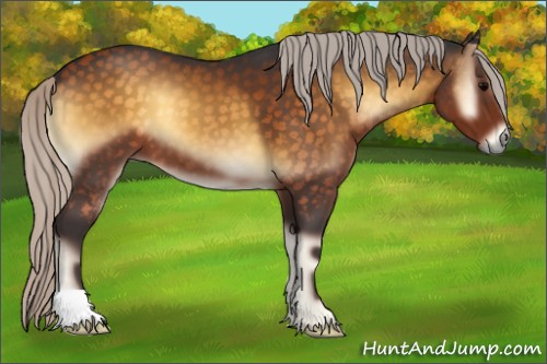 Horse Color:Silver Buckskin Onyx 