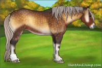 Horse Color:Silver Buckskin Onyx 
