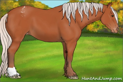 Horse Color:Silver Bay Appaloosa 