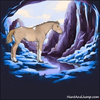 Horse Color:Red Dun Tobiano 