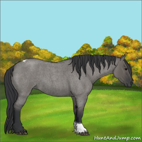 Horse Color:Grullo Roan Tobiano 