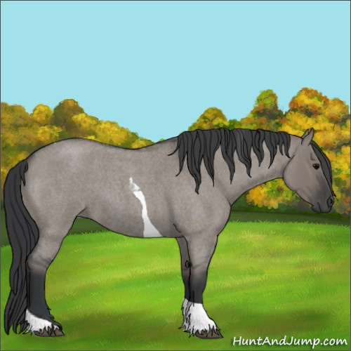 Horse Color:Grullo Roan Tobiano 