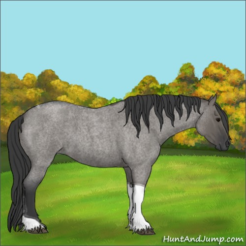 Horse Color:Grullo Roan Tobiano 