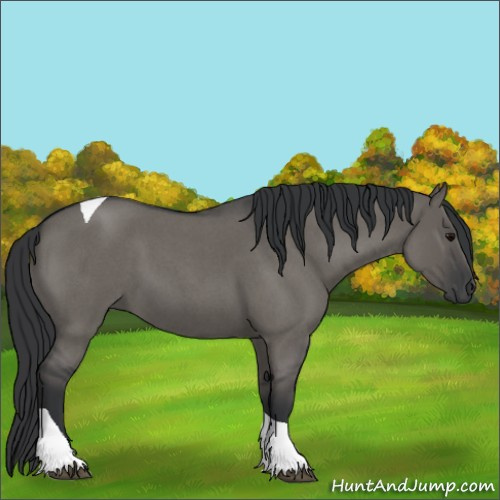 Horse Color:Grullo Roan Tobiano 