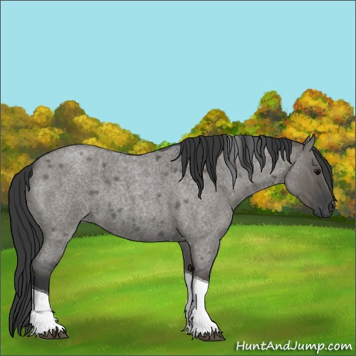 Horse Color:Grullo Roan Tobiano