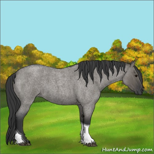Horse Color:Grullo Roan Tobiano 