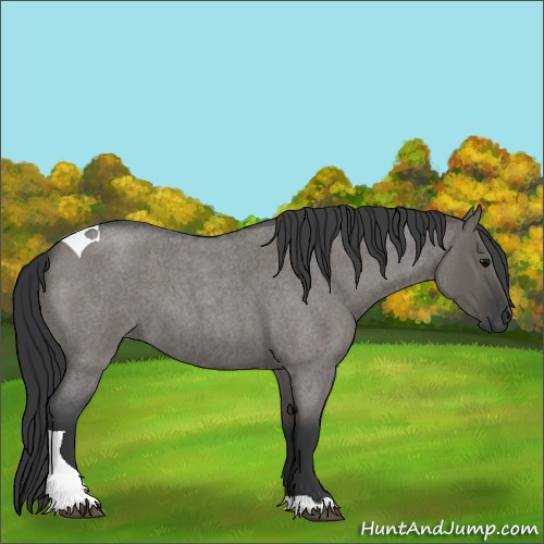 Horse Color:Grullo Roan Tobiano 