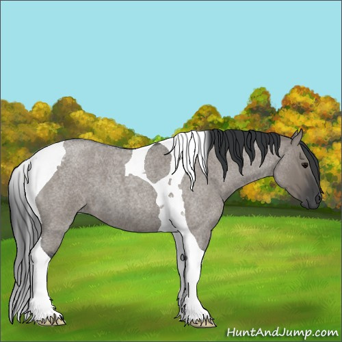 Horse Color:Grullo Roan Tobiano 