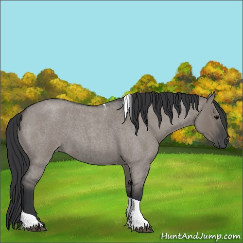 Horse Color:Grullo Roan Tobiano 