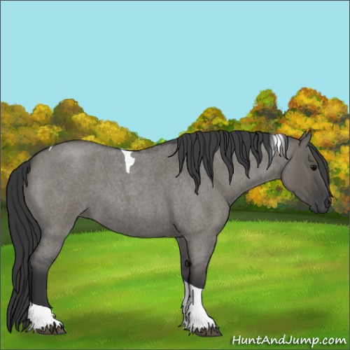 Horse Color:Grullo Roan Tobiano 