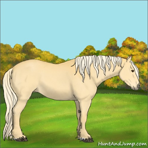 Horse Color:Palomino 