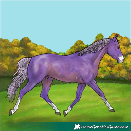 Horse Color:Watercolor Silver Black Sabino Tobiano Rabicano 