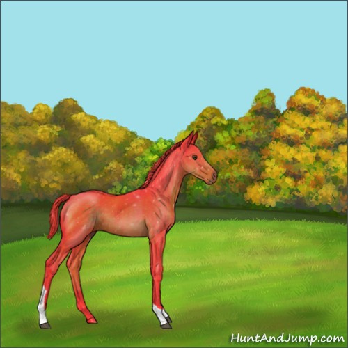 Horse Color:Watercolor Liver Chestnut Tobiano 