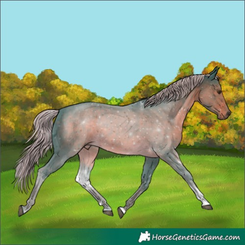 Horse Color:Watercolor Chocolate Palomino Tobiano Rabicano 