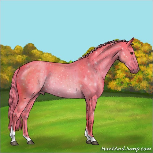 Horse Color:Watercolor Chocolate Palomino Tobiano Rabicano 