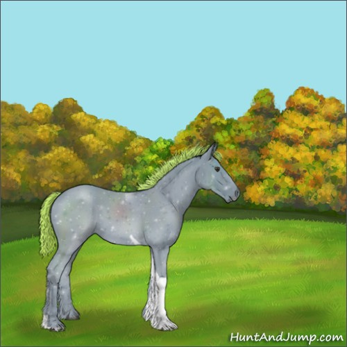 Horse Color:Watercolor Liver Chestnut Tobiano Rabicano 
