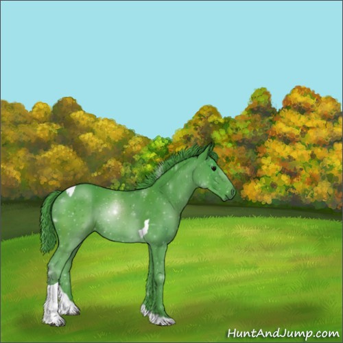 Horse Color:Watercolor Black Sabino Tobiano Rabicano 
