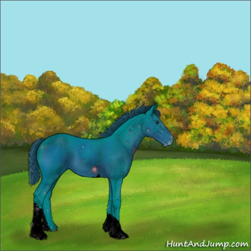 Horse Color:ERROR: UNKNOWN ANOMALY