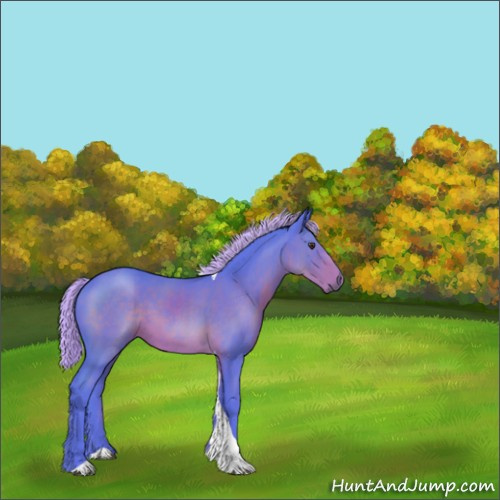 Horse Color:Watercolor Liver Chestnut Sabino Tobiano 