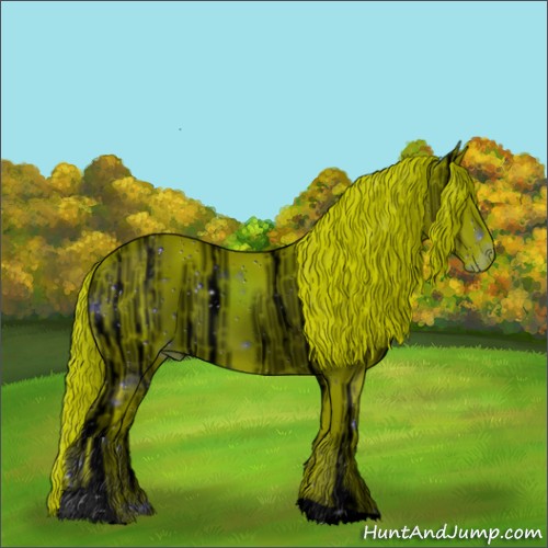 Horse Color:ERROR: UNKNOWN ANOMALY
