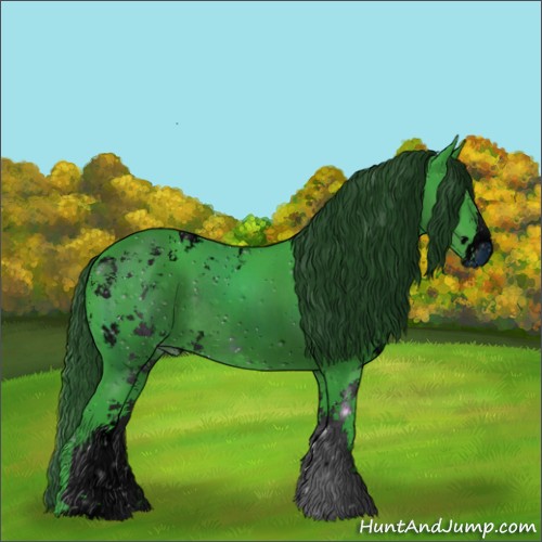 Horse Color:ERROR: UNKNOWN ANOMALY