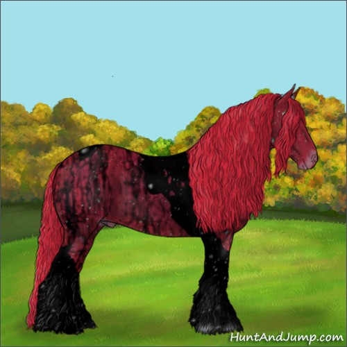 Horse Color:ERROR: UNKNOWN ANOMALY