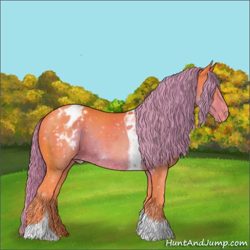 Horse Color:Watercolor Liver Chestnut Tobiano Appaloosa 